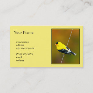 Carte De Visite American Goldfinch - Photo originale