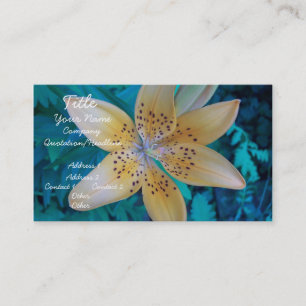 Carte De Visite American Tiger Lily