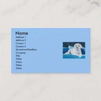 Carte De Visite Ami de Bichon Frise