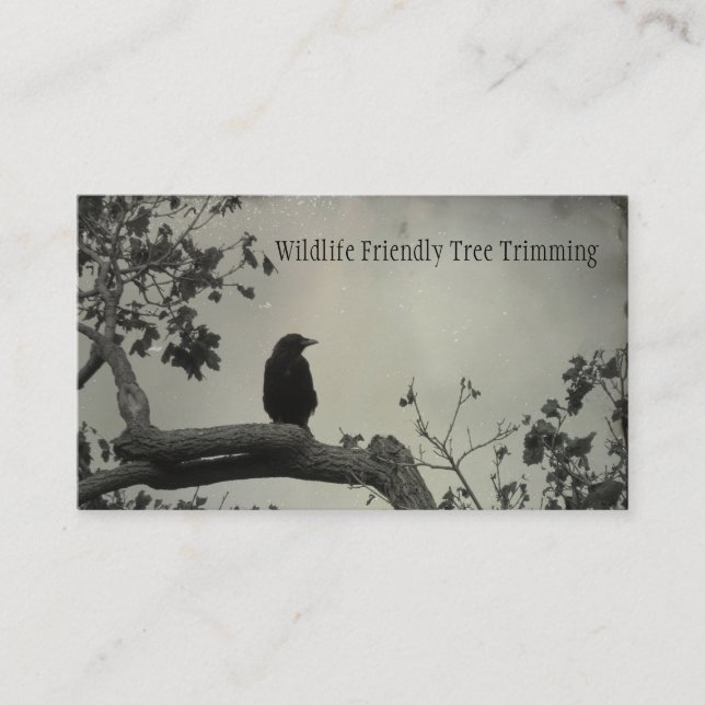 Carte De Visite Amical Nature Business (Devant)