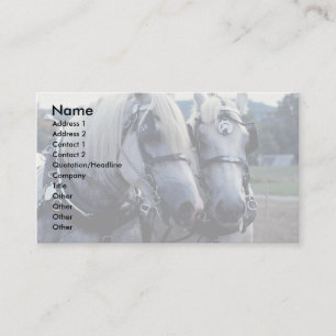 Carte De Visite Amis, équipe de cheval