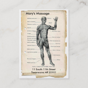 Carte De Visite Anatomie antérieure et postérieure