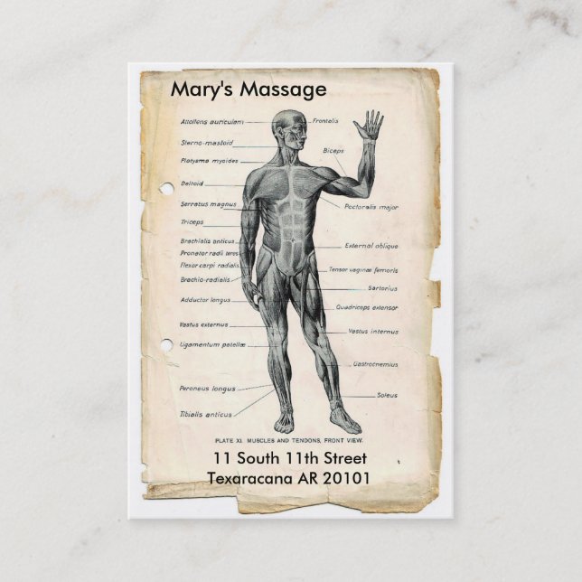 Carte De Visite Anatomie antérieure et postérieure (Devant)