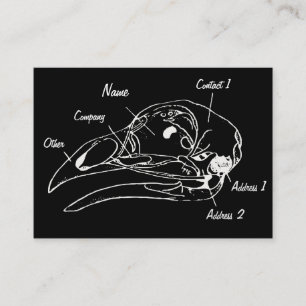 Carte de visite anatomique d'illustration de crân