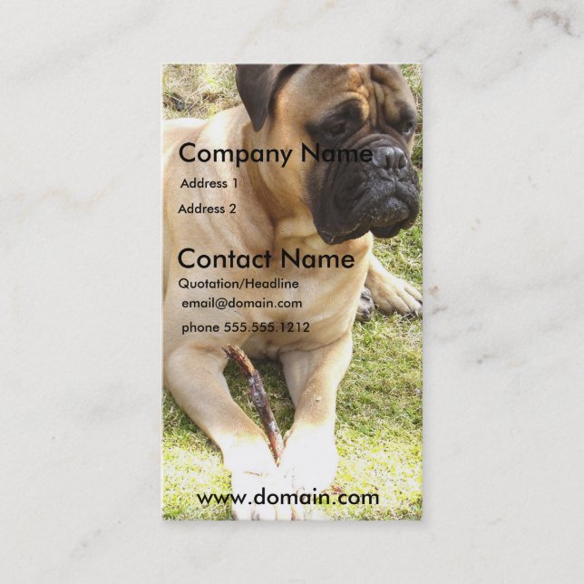 Carte de visite anglais de chien de mastiff (Devant)