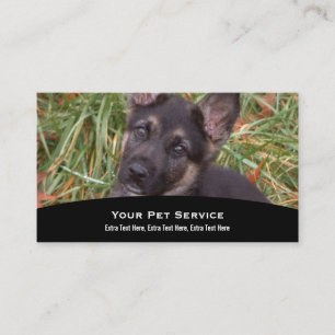 Carte de visite animal