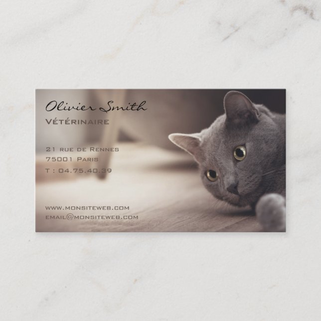 Carte De Visite Animal de compagnie, beau chat. (Devant)