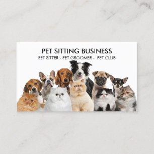 Carte De Visite Animal de compagnie familial six chiens cinq chats