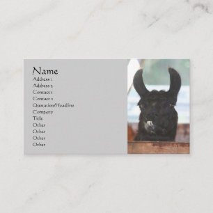 Carte de visite animal de ferme Llama Noire