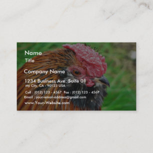 Carte De Visite Animal petit de poule