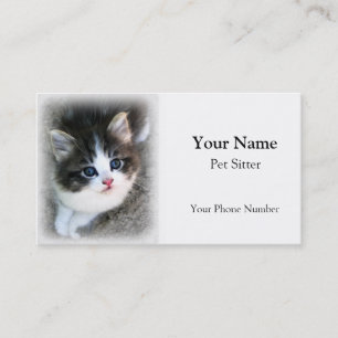 Carte De Visite Animaux assis