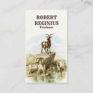 Carte De Visite Animaux Chèvres Art Vintage