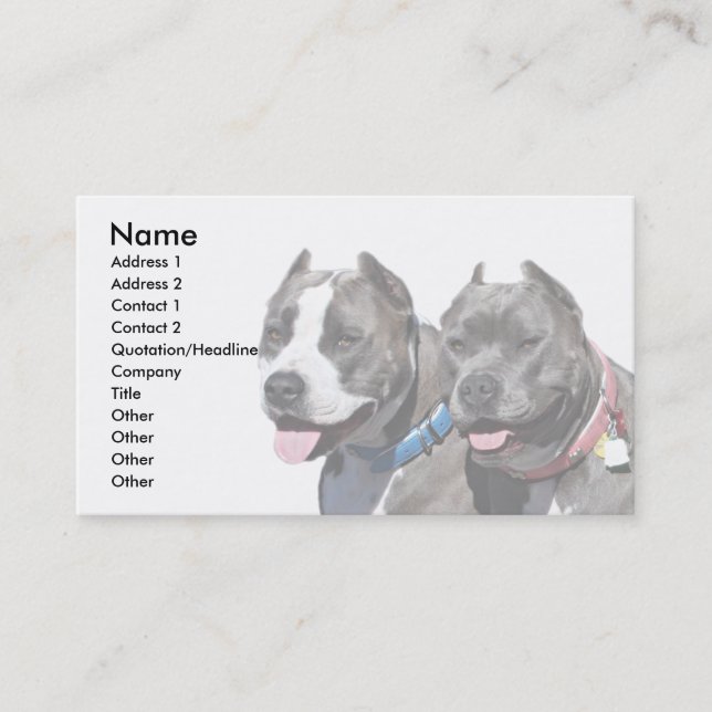 Carte De Visite Animaux de chien de Pitbull de race de despote (Devant)