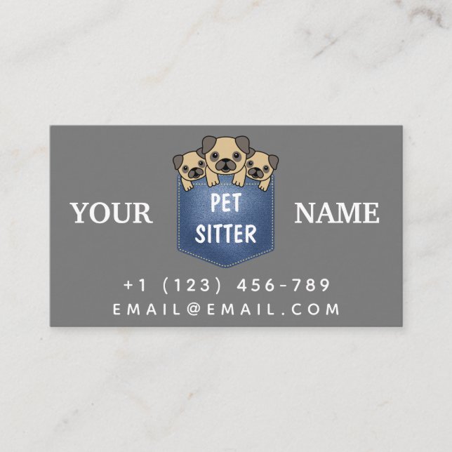 Carte De Visite Animaux de compagnie Sitter Animal Care Service Ch (Devant)