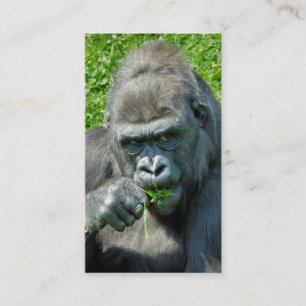 CARTE DE VISITE ANIMAUX SAUVAGES - GORILLAS