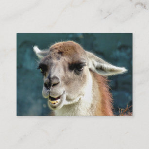 CARTE DE VISITE ANIMAUX SAUVAGES - GUANACO