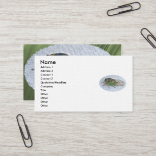 Carte de visite annuel du Canada