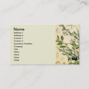 Carte De Visite Antique Blackthorn Botanique Imprimé Fleur Berry