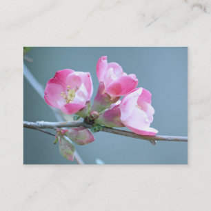 Carte De Visite Apple Blossom #P0358 Mini impression