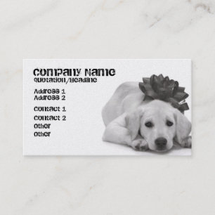 Carte De Visite Approvisionnement d'animal familier/Groomer/etc.