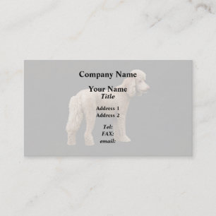 Carte De Visite Apricot Poodle