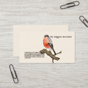 Carte De Visite Aquarelle design forêt oiseau taufinch