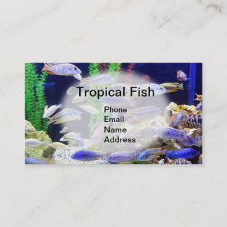Carte De Visite Aquarium avec de beaux poissons tropicaux