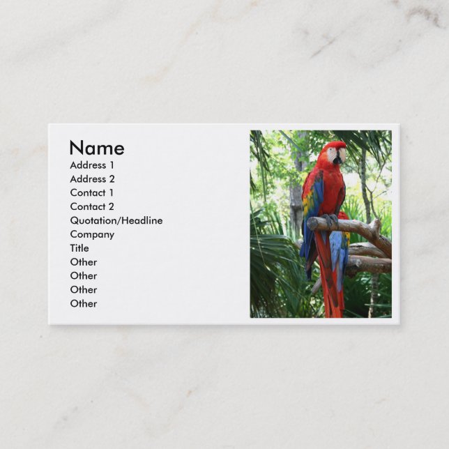 Carte De Visite Ara d'écarlate, conception rouge de photograp (Devant)