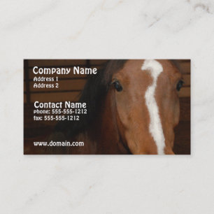 Carte de visite Arabe de cheval