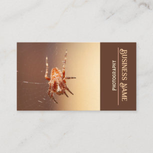 Carte De Visite Araignée