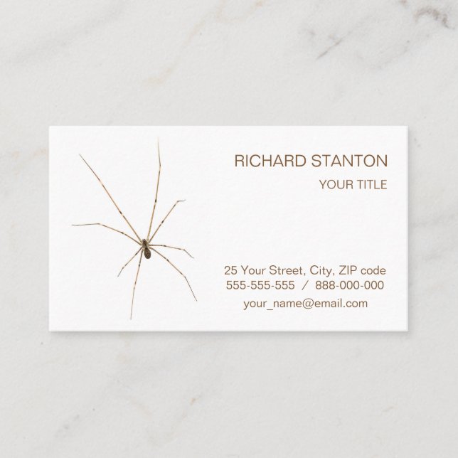 Carte De Visite Araignée (Devant)