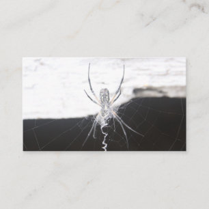 Carte de visite araignée