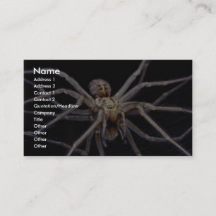 Carte De Visite Araignée menaçante toxique de reclus