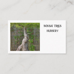 Carte De Visite Arbre bonsaï