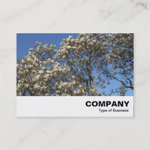 Carte De Visite Arbre de Magnolia en fleurs