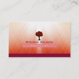 Carte De Visite Arbre élégant Red Nature Rays Jardin Paysage