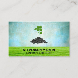 Carte De Visite Arbre planté   Pelouse herbacée   Paysage