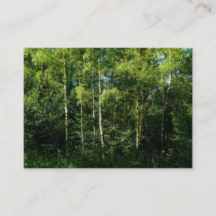 Carte De Visite Arbres à bouleau d'argent, Mini photo