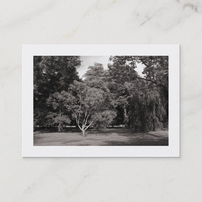 Carte De Visite Arbres, Bute Park, Cardiff - BW Chaud (Bordé) (Devant)