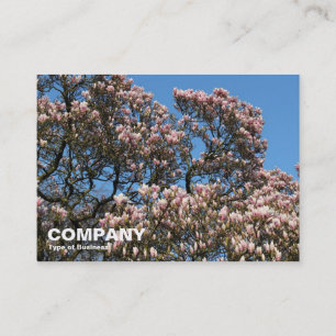 Carte De Visite Arbres de Magnolia en fleurs