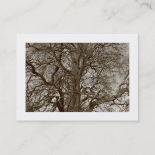 Carte De Visite Arbres d'hiver au début du printemps - Sepia (fron