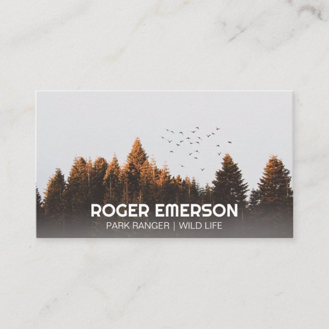 Carte De Visite Arbres et oiseaux | Extérieur (Devant)