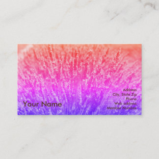 Carte De Visite Arc-en-ciel d'huile essentielle