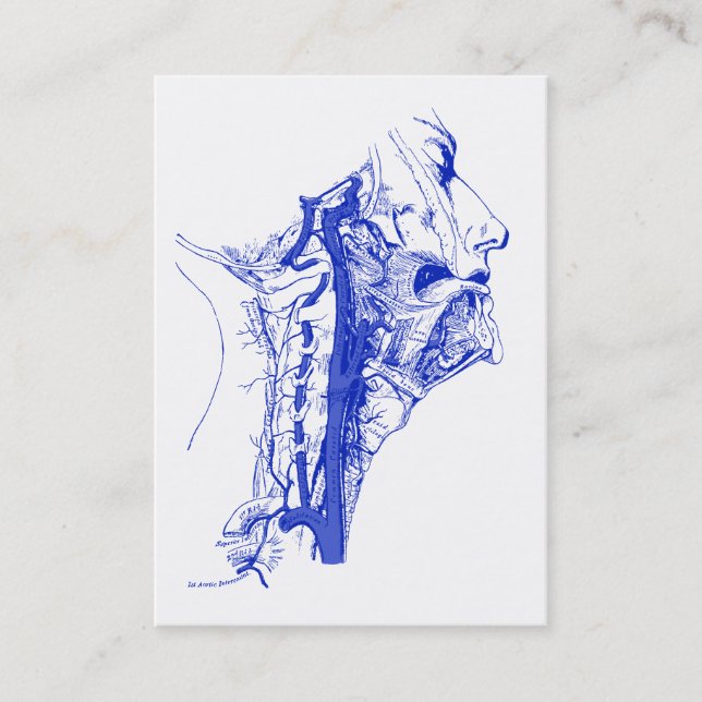 Carte De Visite Artères vertébrales Médicales antiques d'humain (Devant)