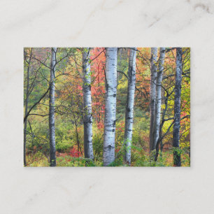 Carte De Visite Aspens dans l'ATC d'automne