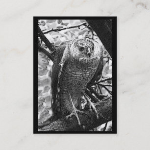 Carte De Visite ATC de Hawk à peau claire