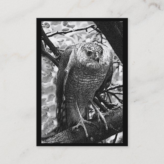 Carte De Visite ATC de Hawk à peau claire (Devant)