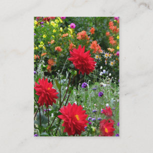 Carte De Visite ATC de jardin de dahlia