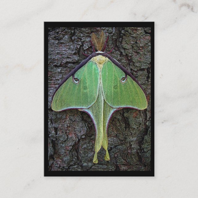 Carte De Visite ATC de mite de Luna (Devant)