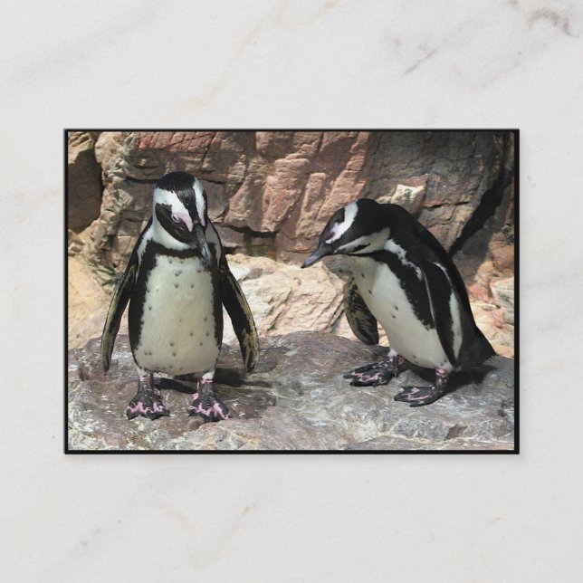 Carte De Visite ATC de pingouins (Devant)